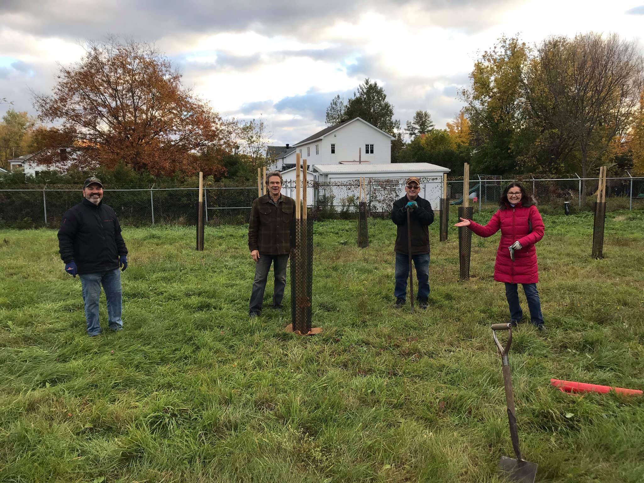 Plantation de 75 arbres à Waterloo