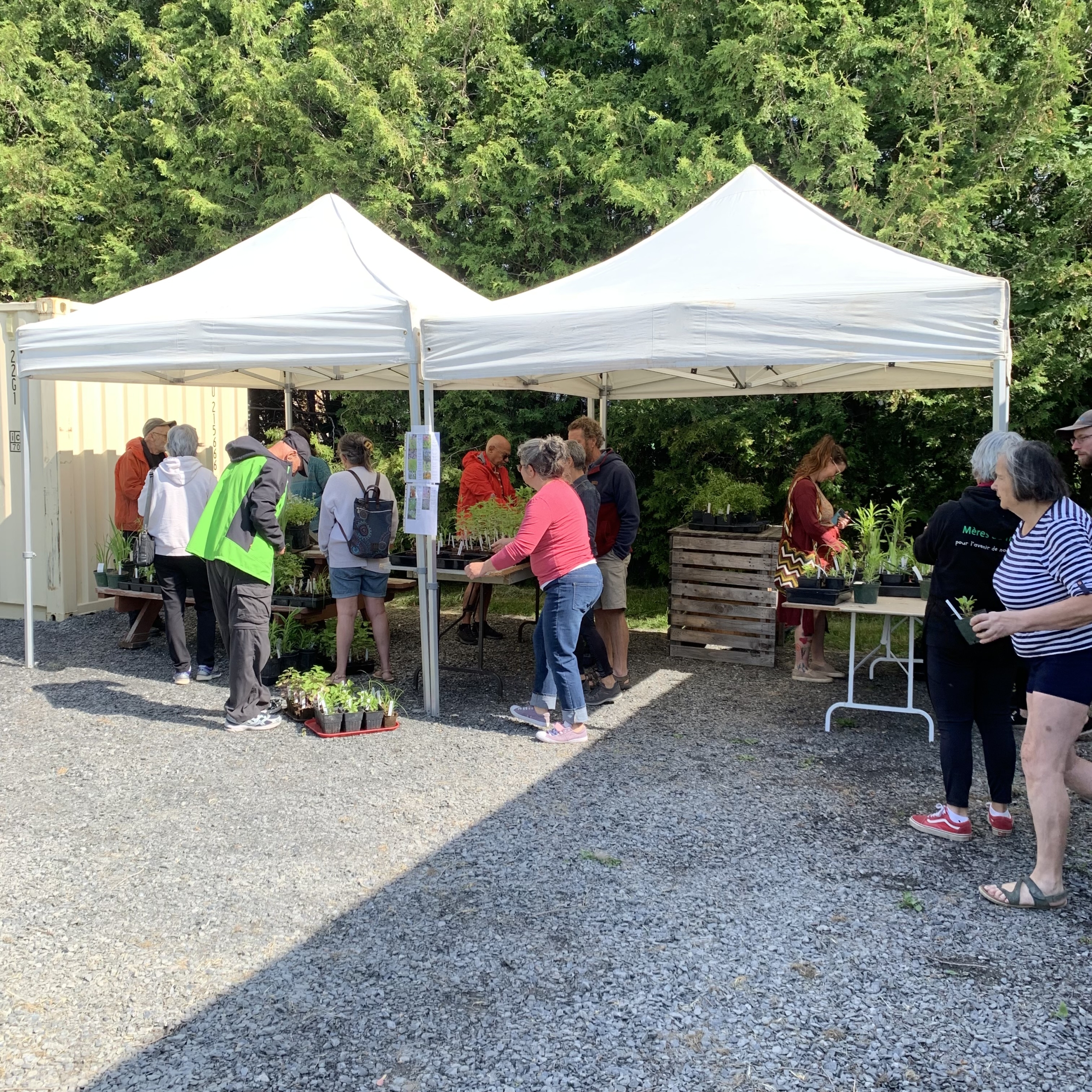 Prochaine Activité: La Fête des Plantes 1er Juin 9h à midi